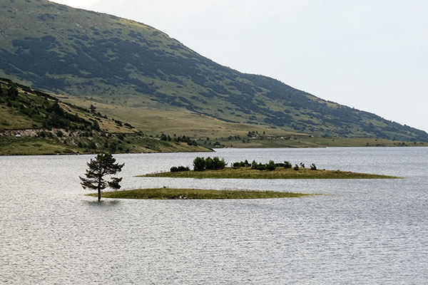 Белмекен