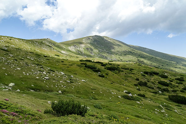 Връх Белмекен