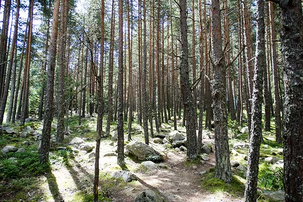 Екопътека Бели Искър