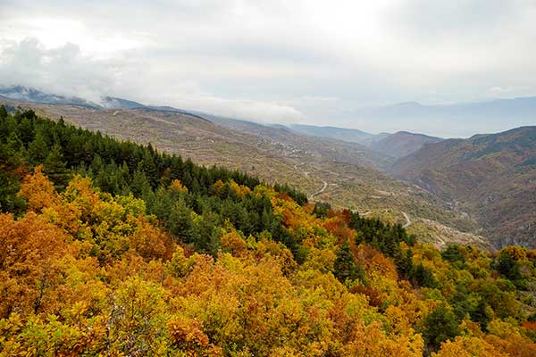Панорамата след параклиса, Ковачевица