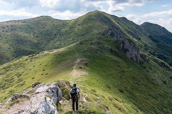 Козя стена, Стара планина