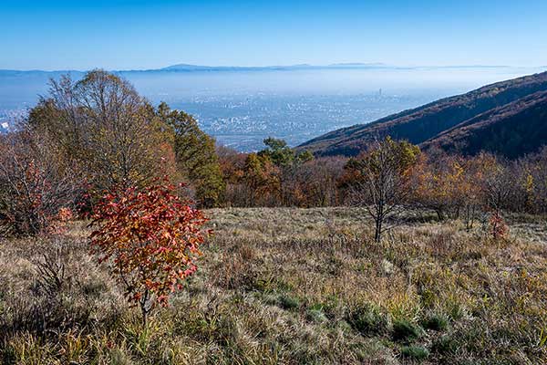 Панорамна пейка над София